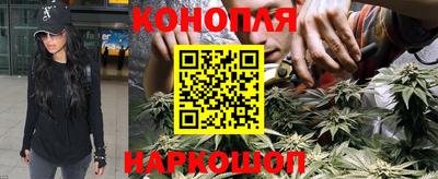 хмурый Гудермес