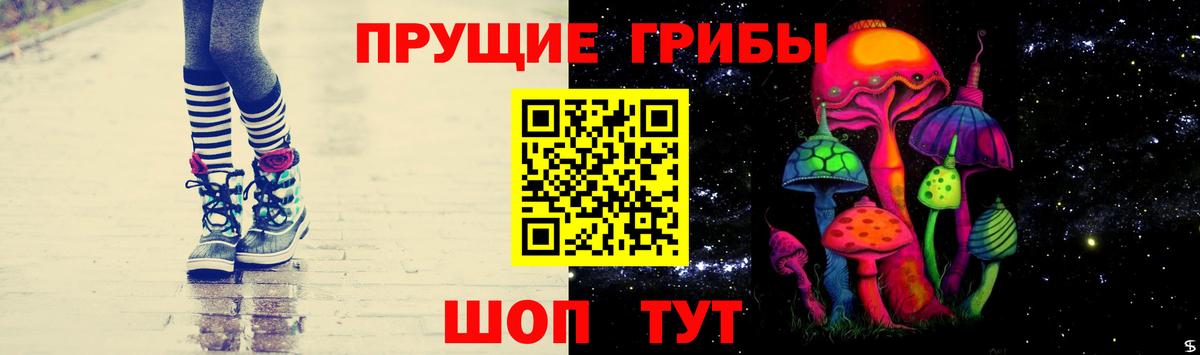 Псилоцибиновые грибы прущие грибы Дивногорск